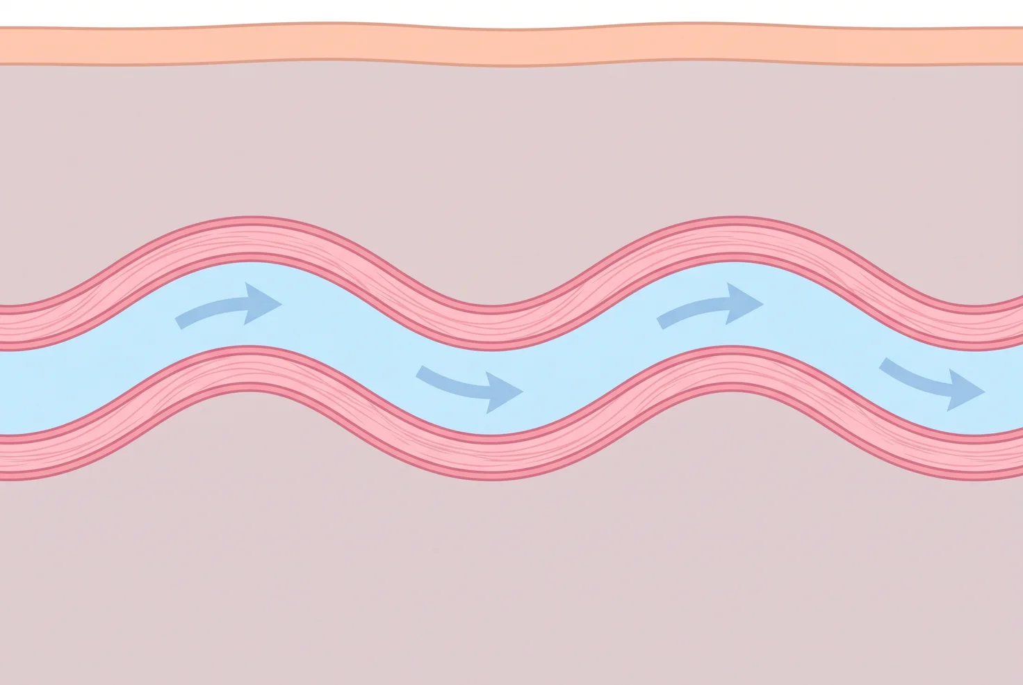 Diagram: the same vessel with a thick, firm wall, fluid staying inside and flowing along it, calm tissue around it